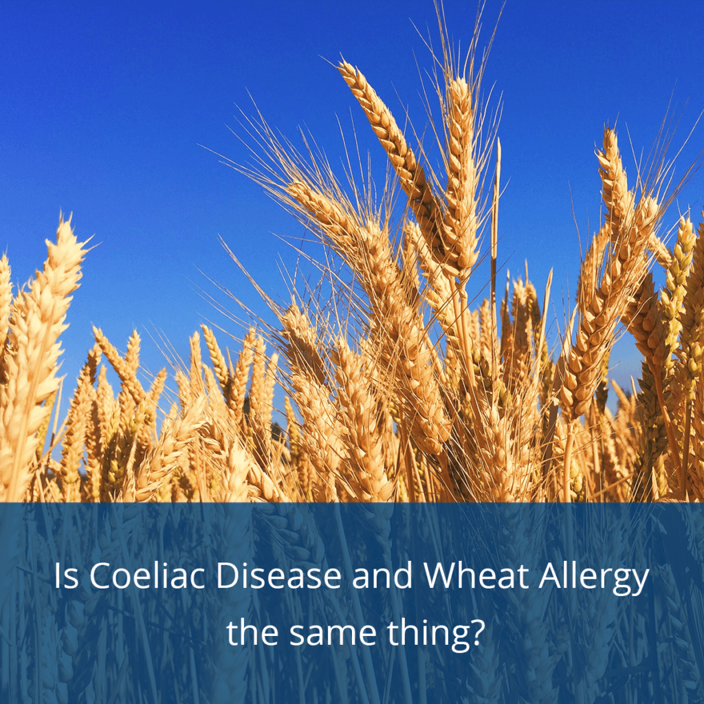 Is Coeliac Disease and Wheat Allergy the same thing?